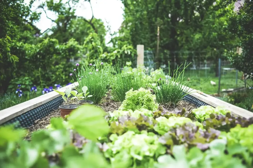 Garden irrigation and drainage work