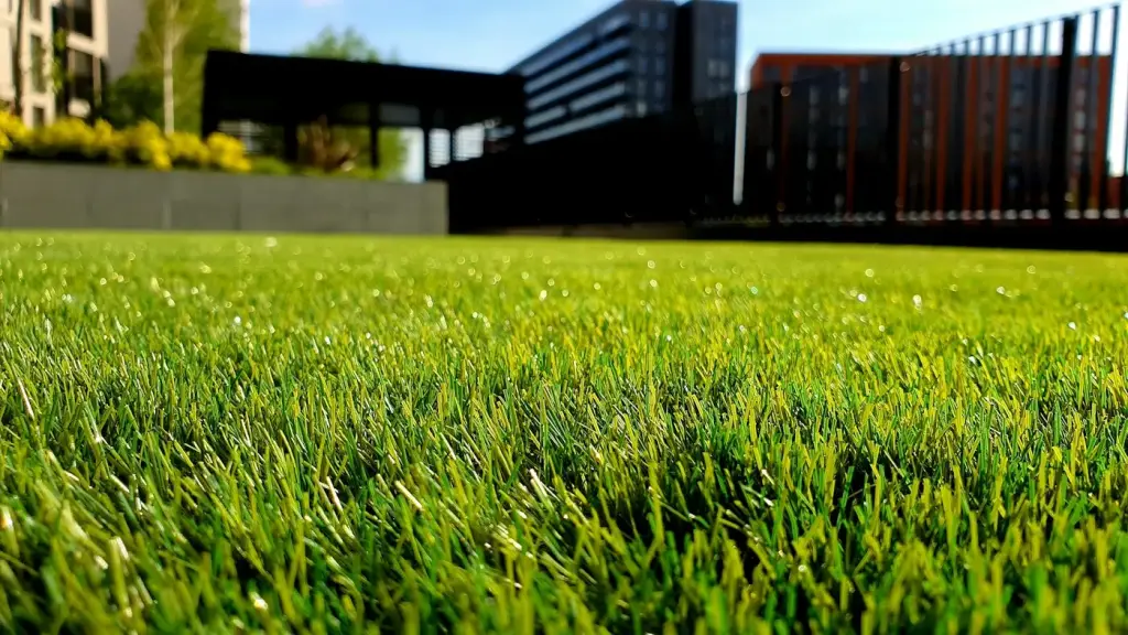 Freshly laid turf lawn
